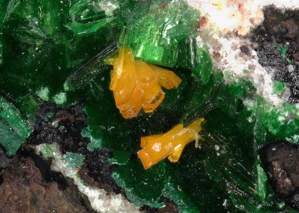 Kasolite
